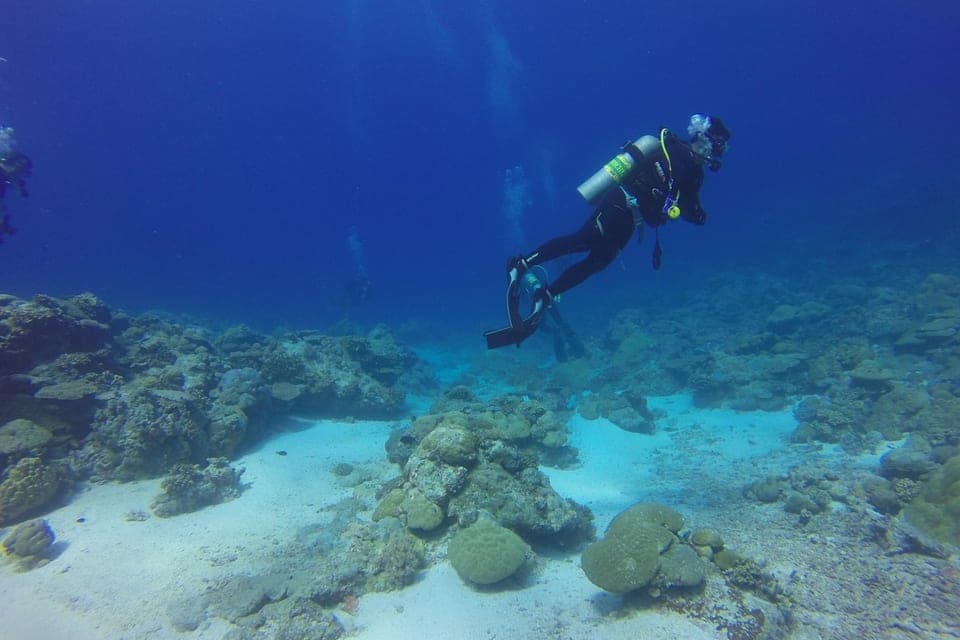 Nurkowie na Adventure Diver