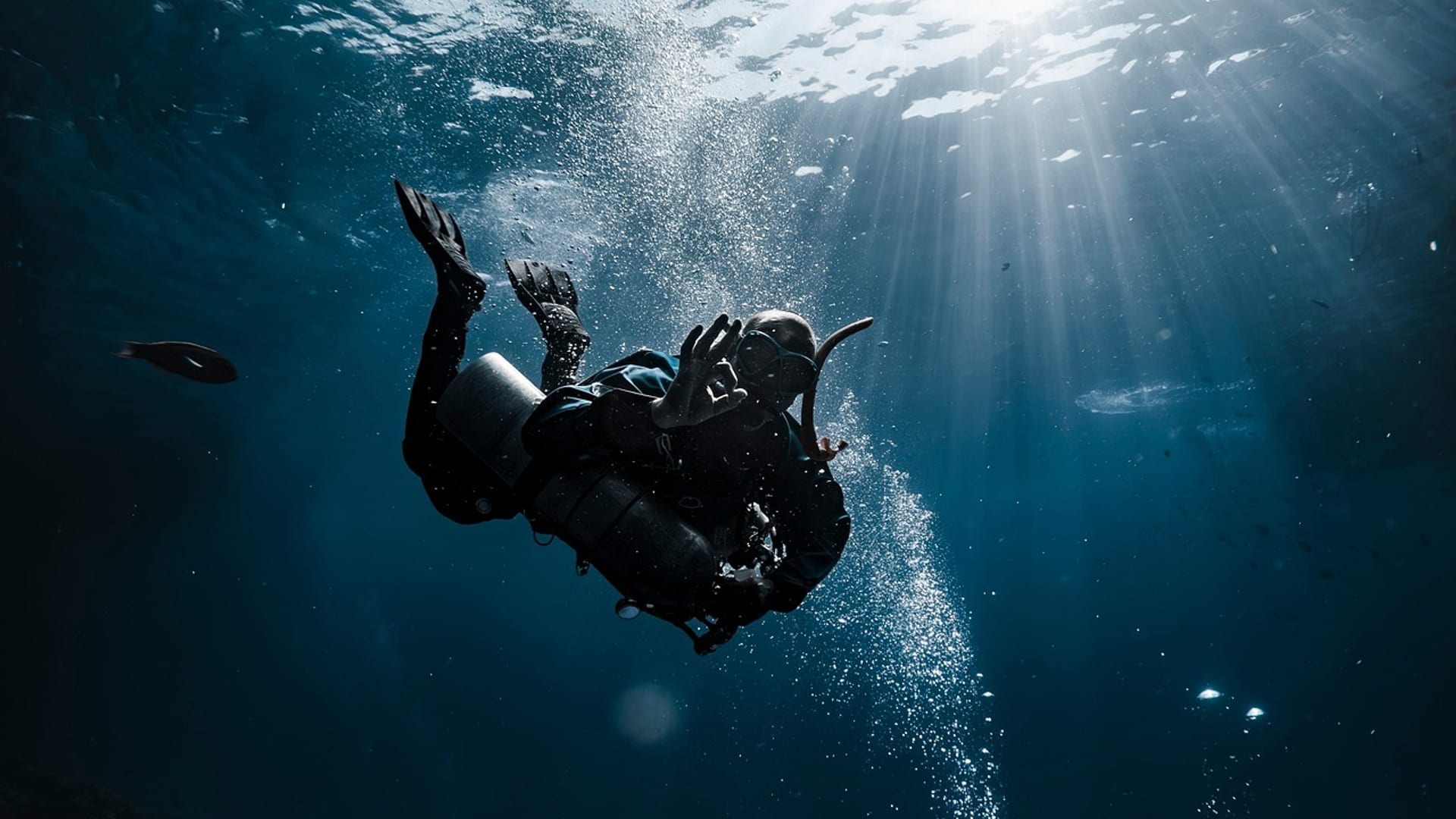 Nurek w błękitnej toni — Deep Diver