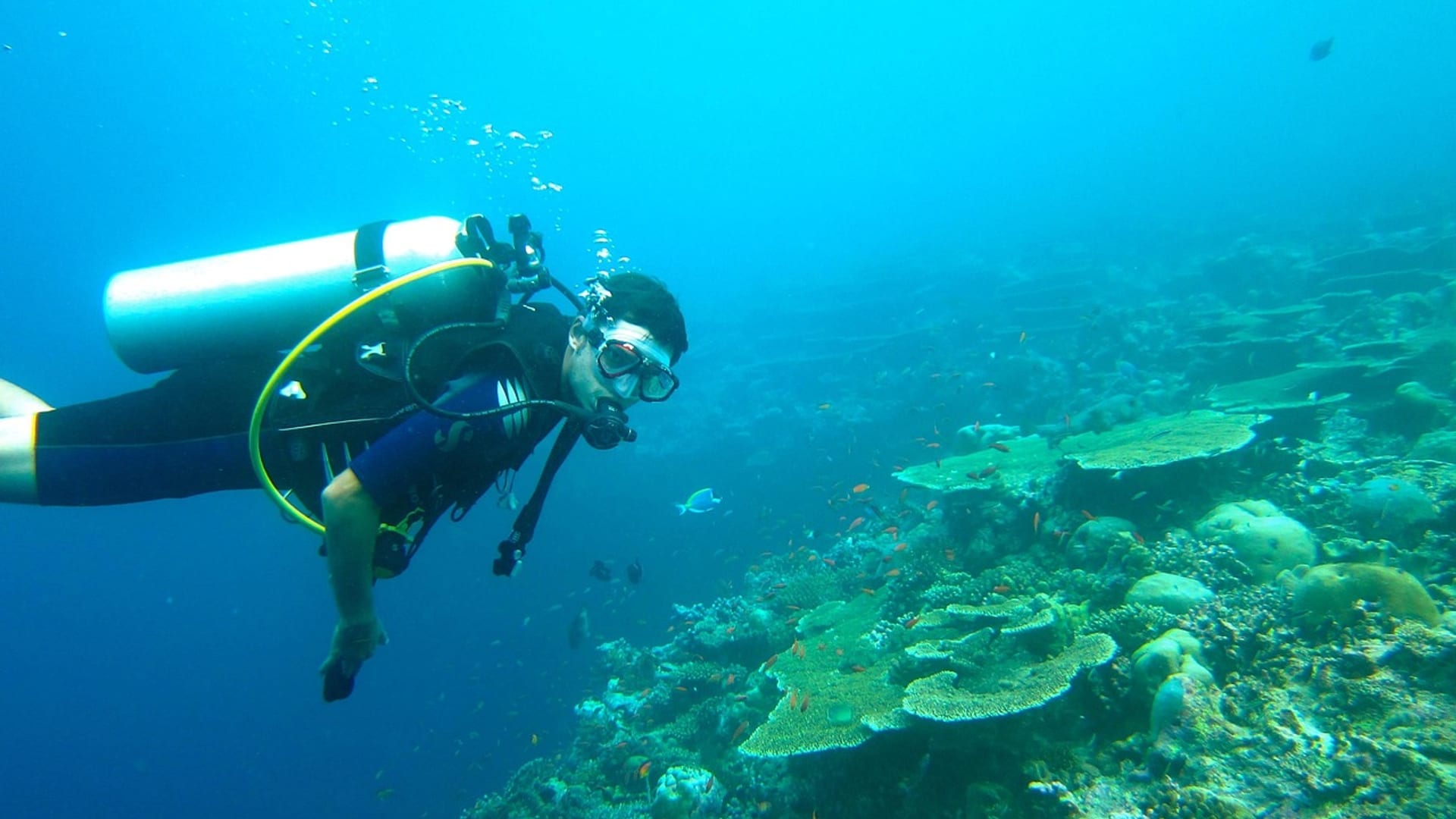 Kurs Scuba Diver na rafie