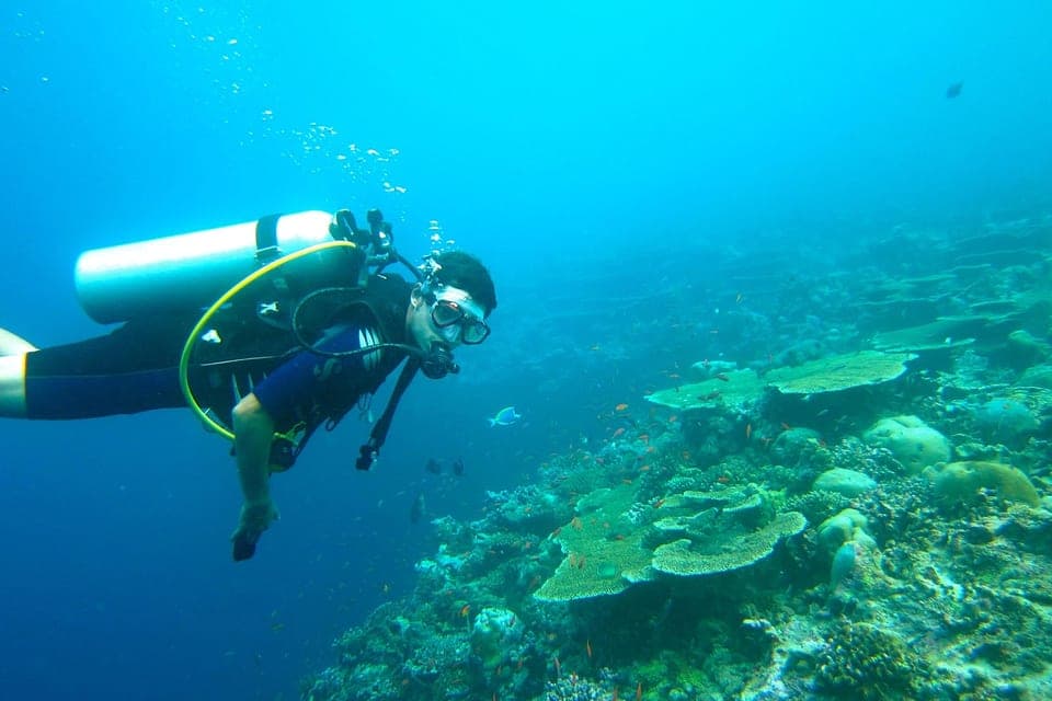 Kurs Scuba Diver na rafie